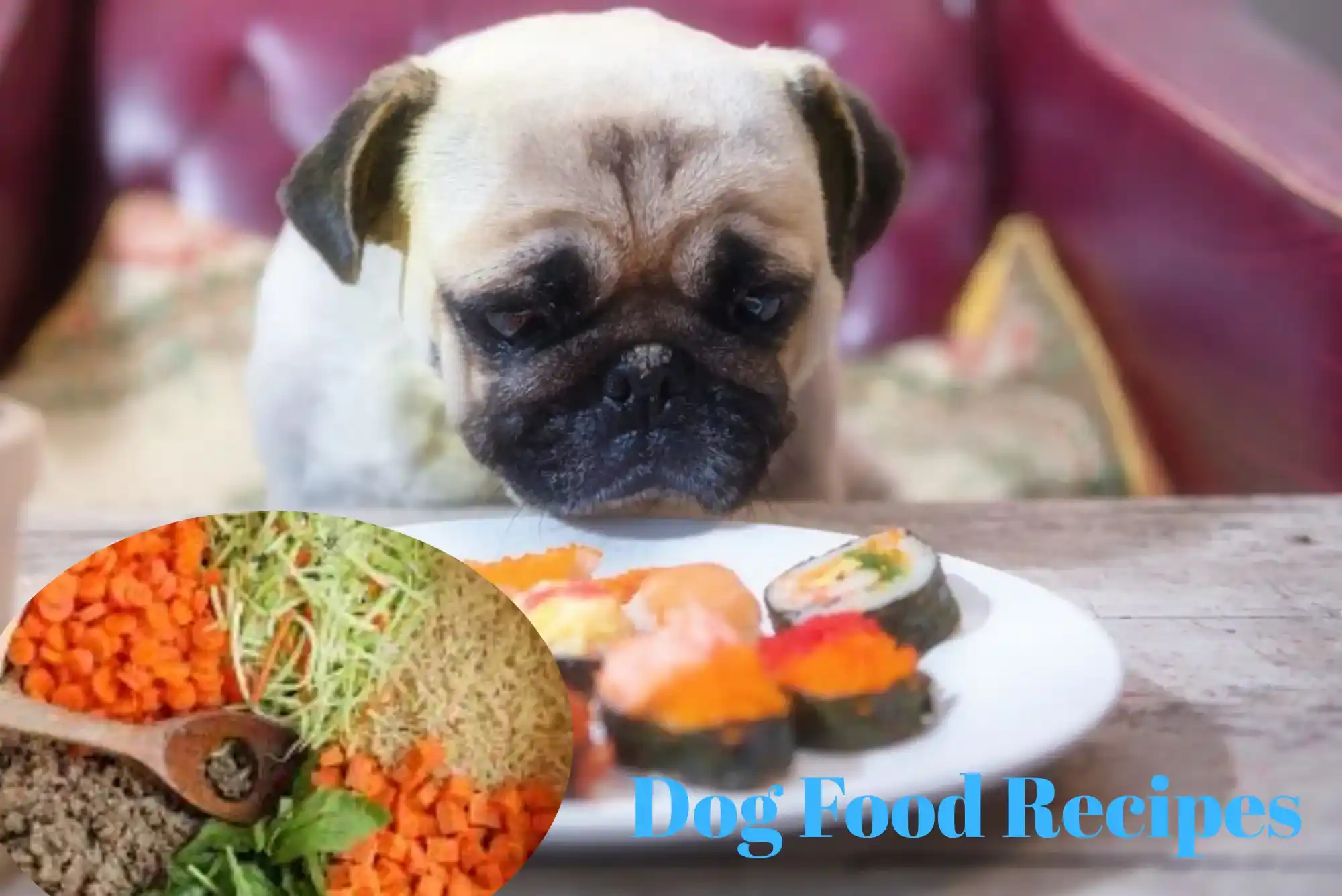 Homemade Cooked Dog Food Recipes Your Pup Will Love in 2025