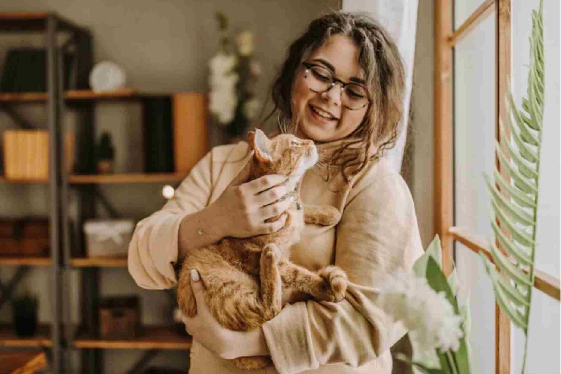 Indoor Cat Care Tips for Beginners (UK Guide)