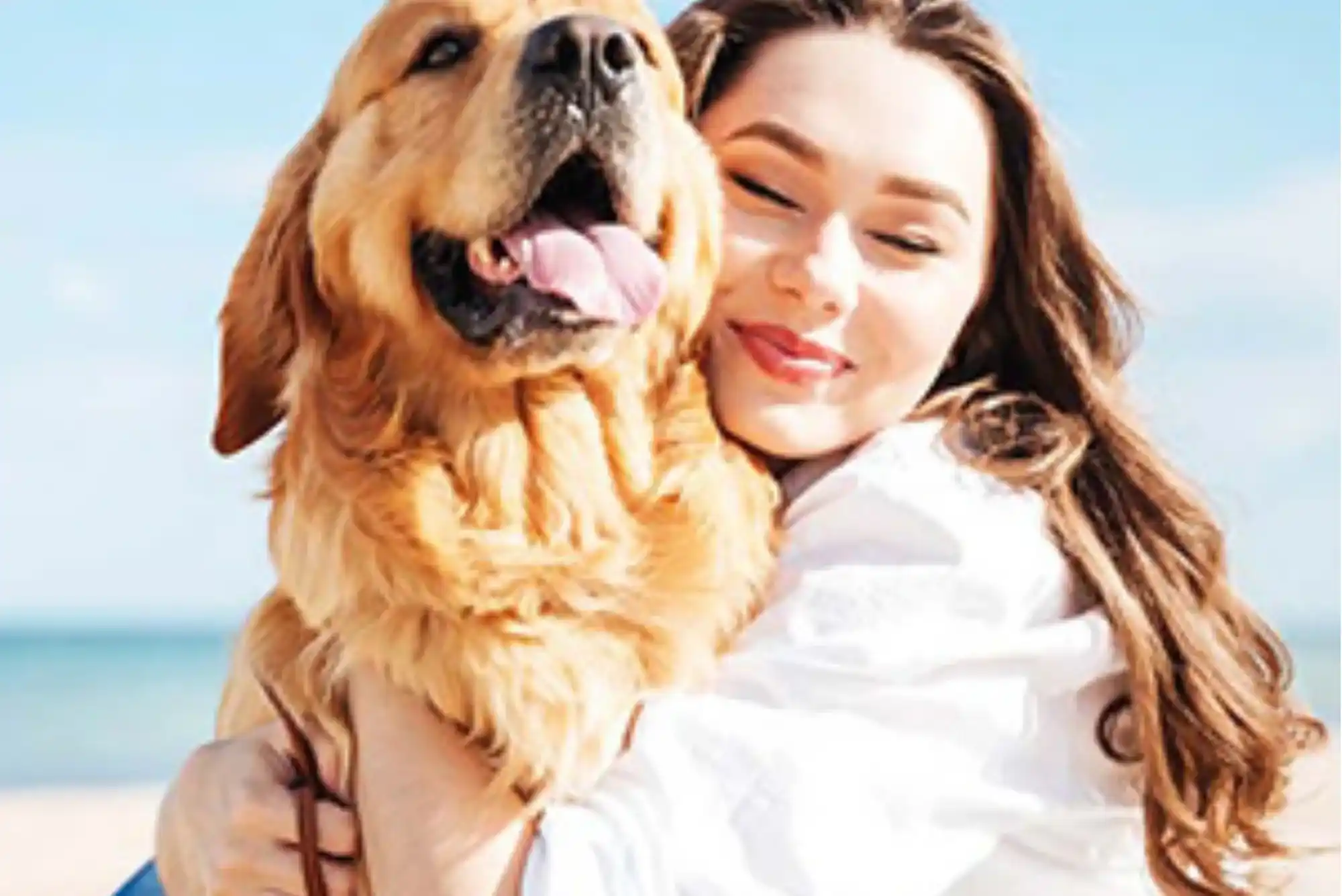 Pet Safety and Toxicity Test UK Online: A Guide for UK Pet Lovers