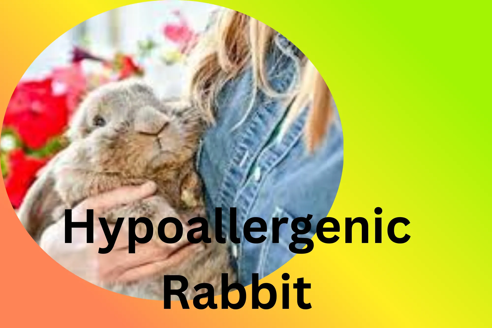 Hypoallergenic-Rabbit-Breeds-Allergy-Friendly-Bunnies-for-UK-Pet-Lovers.webp