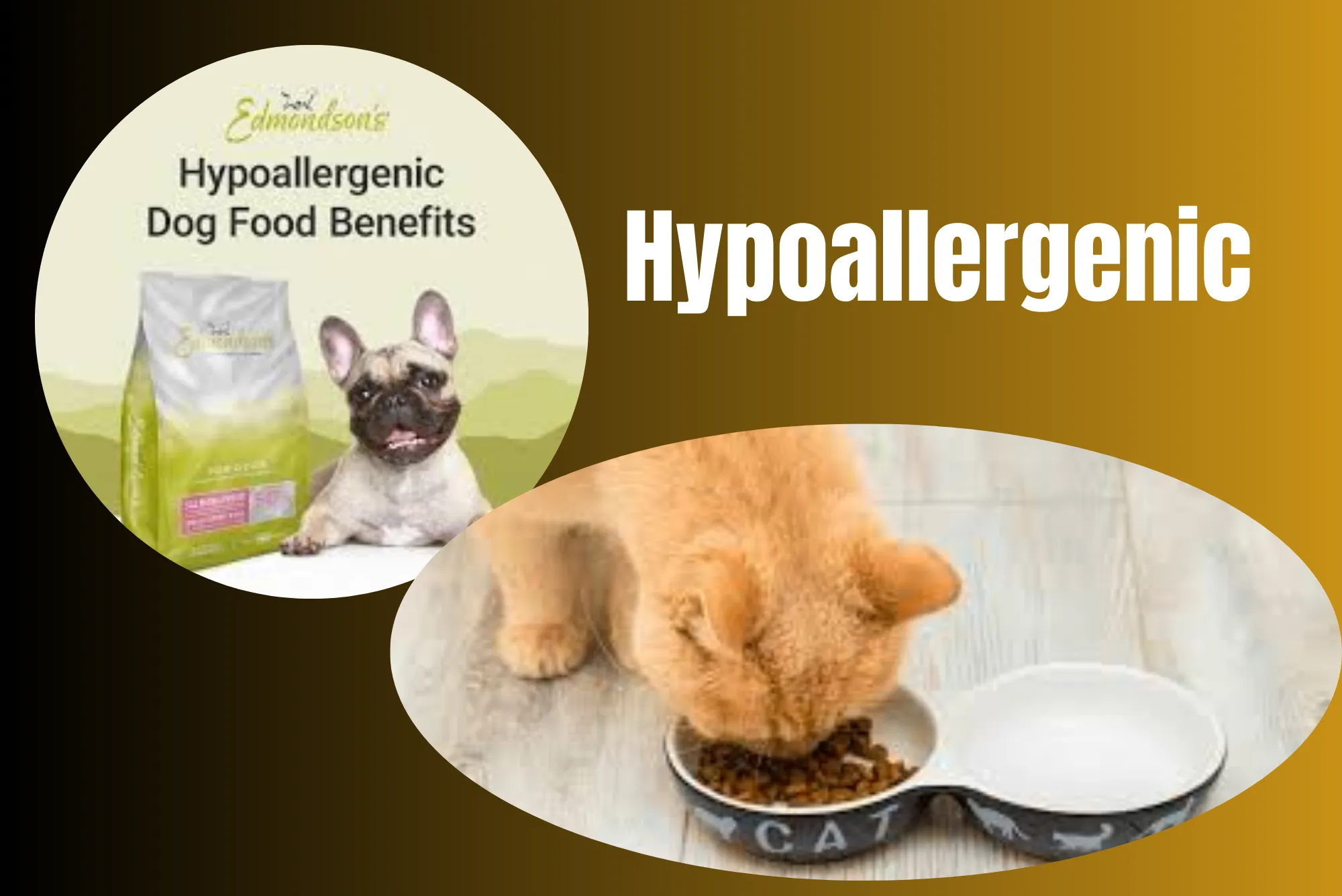 What Is Hypoallergenic Pet cat Food